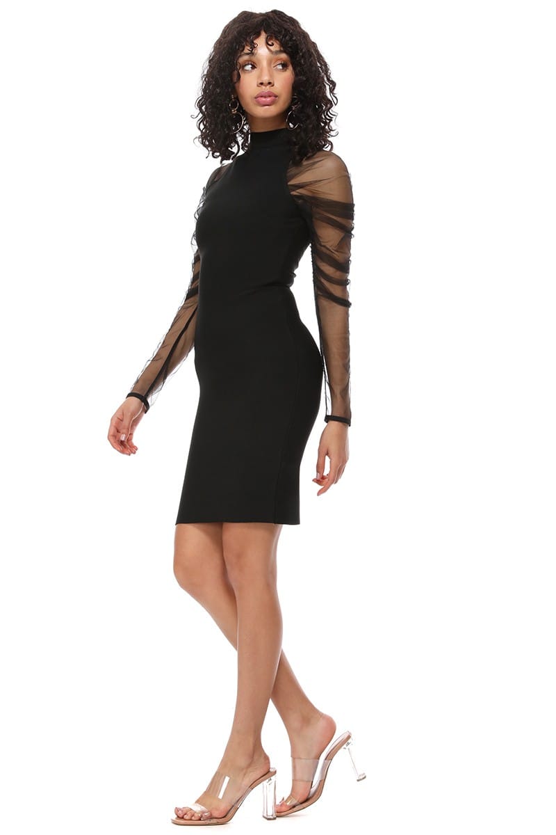A woman modeling a black bodycon mini dress with sheer mesh long sleeves, paired with clear high-heeled sandals, against a plain white background.