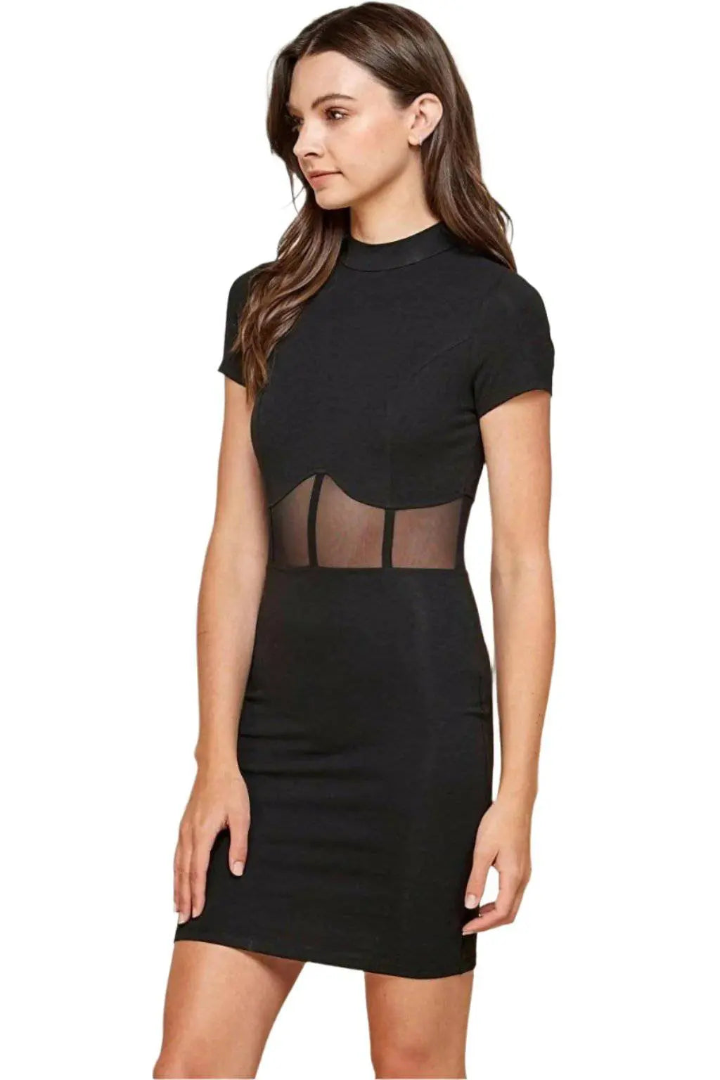 Corset Mesh Mock Mini Dress Dress Epicplacess   